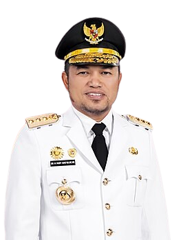 Gubernur