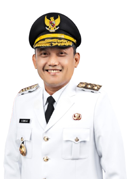 Wakil Gubernur
